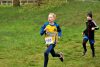 IMG 4266