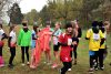 IMG 4291
