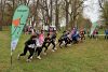 IMG 4401
