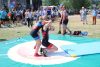 IMG 9331
