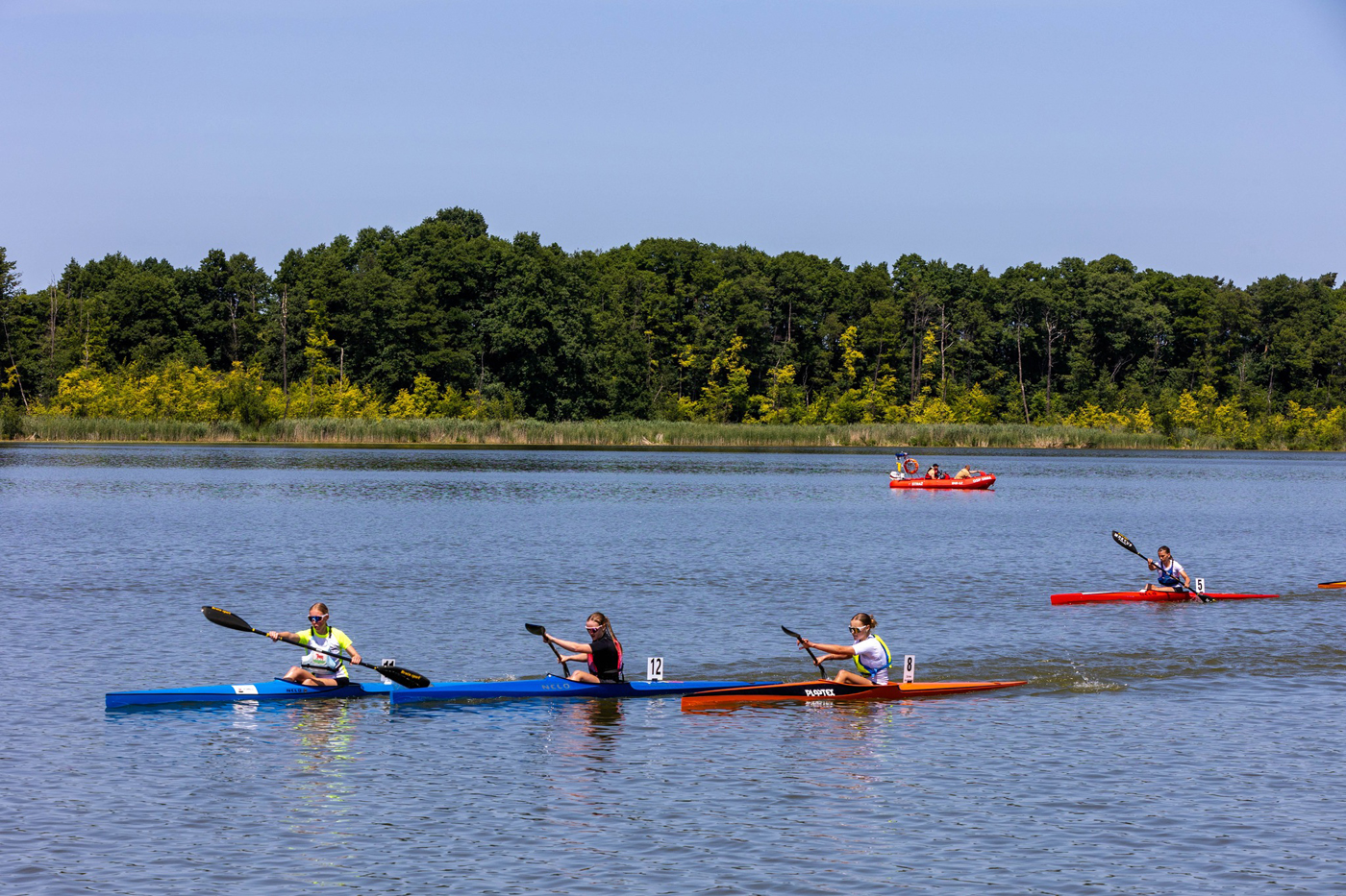 510243867 1140337681457934 885024925727622960 n