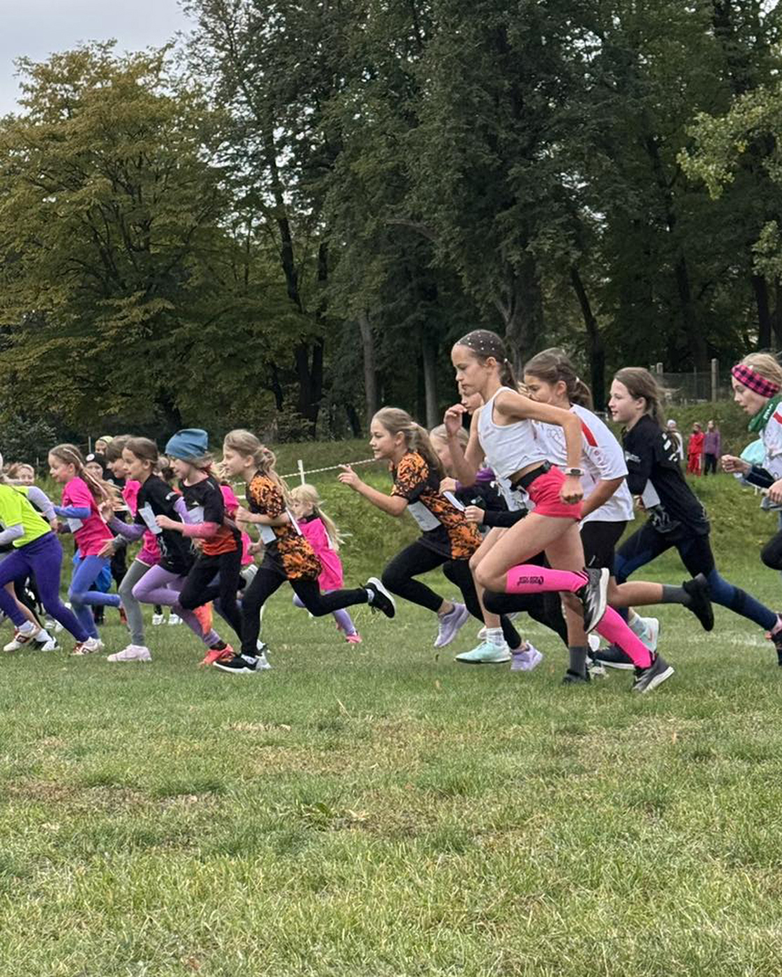 559331421 1194950282456199 1143163433541415278 n